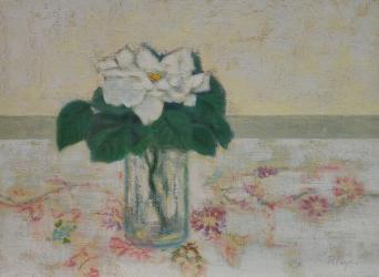 ‘Hand Embroidered’ (i)