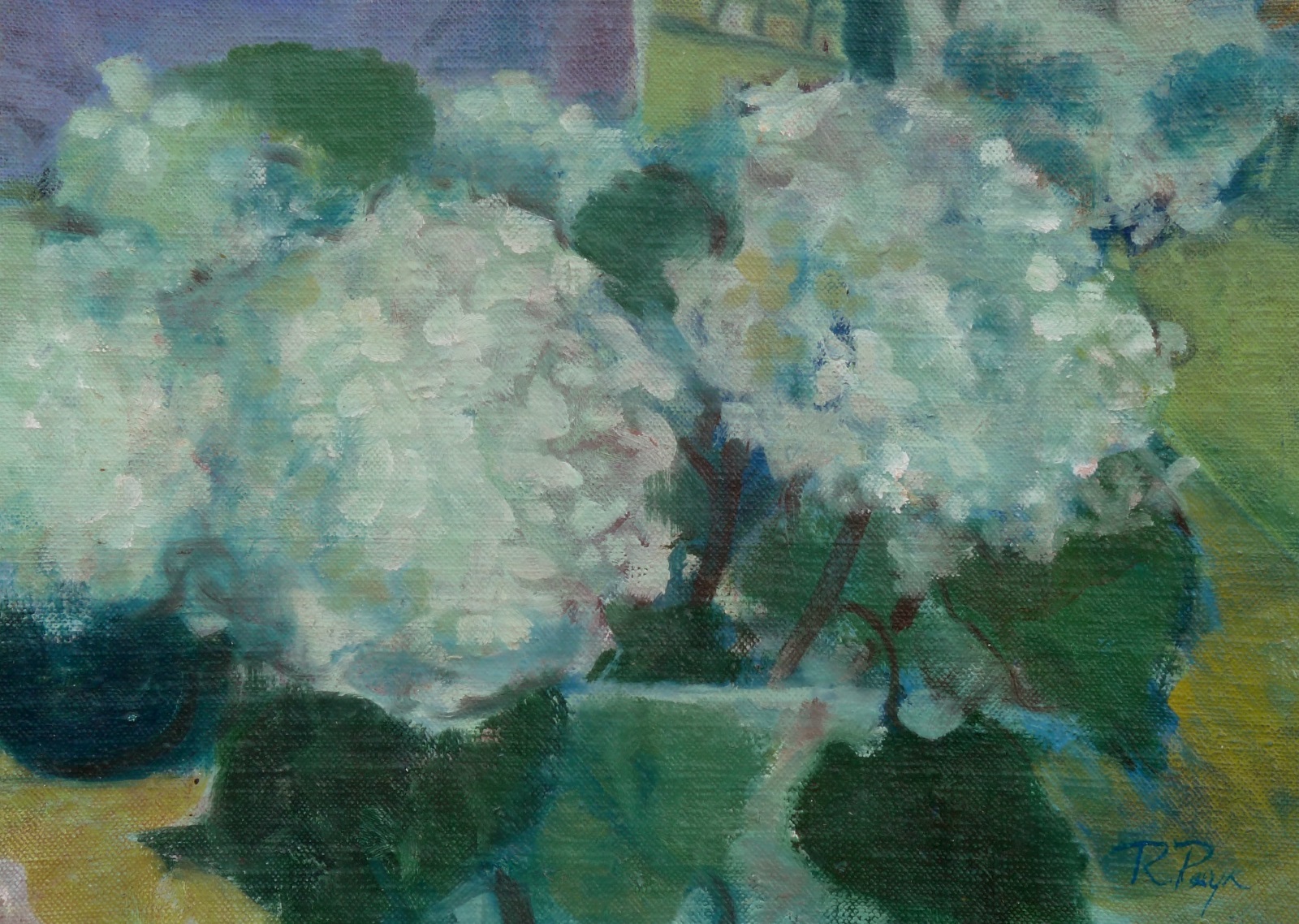 oil painting by Rebecca Payn, 'Hydrangeas'